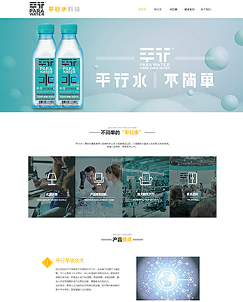 东莞市平行水科技有限公司网站案例 （所属行业：食品饮料、蔬果、茶酒）